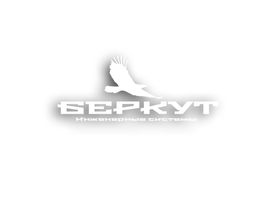 Логотип Беркут